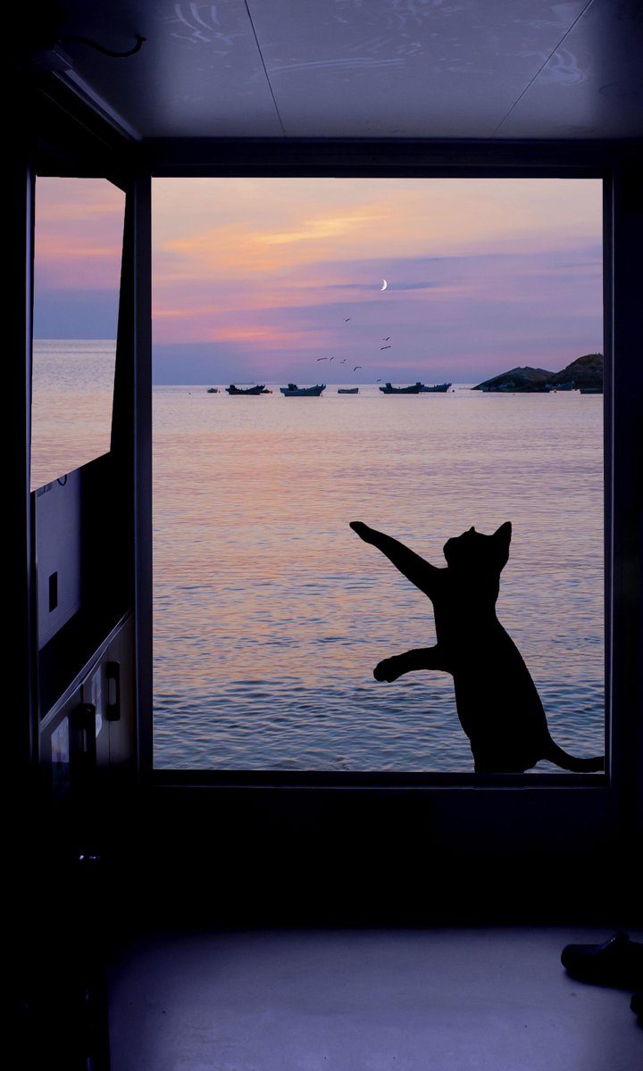 vibes_of_AI's tweet photo. Home is wherever the sunset fills the window. The perfect reminder that slowing down is part of living well.#sunset #catlover #seaside #afterwork #peaceful #home #nature #cozyvibes #photography #healing #cozy #afterwork #relax https://t.co/CpC5Fk9OVz