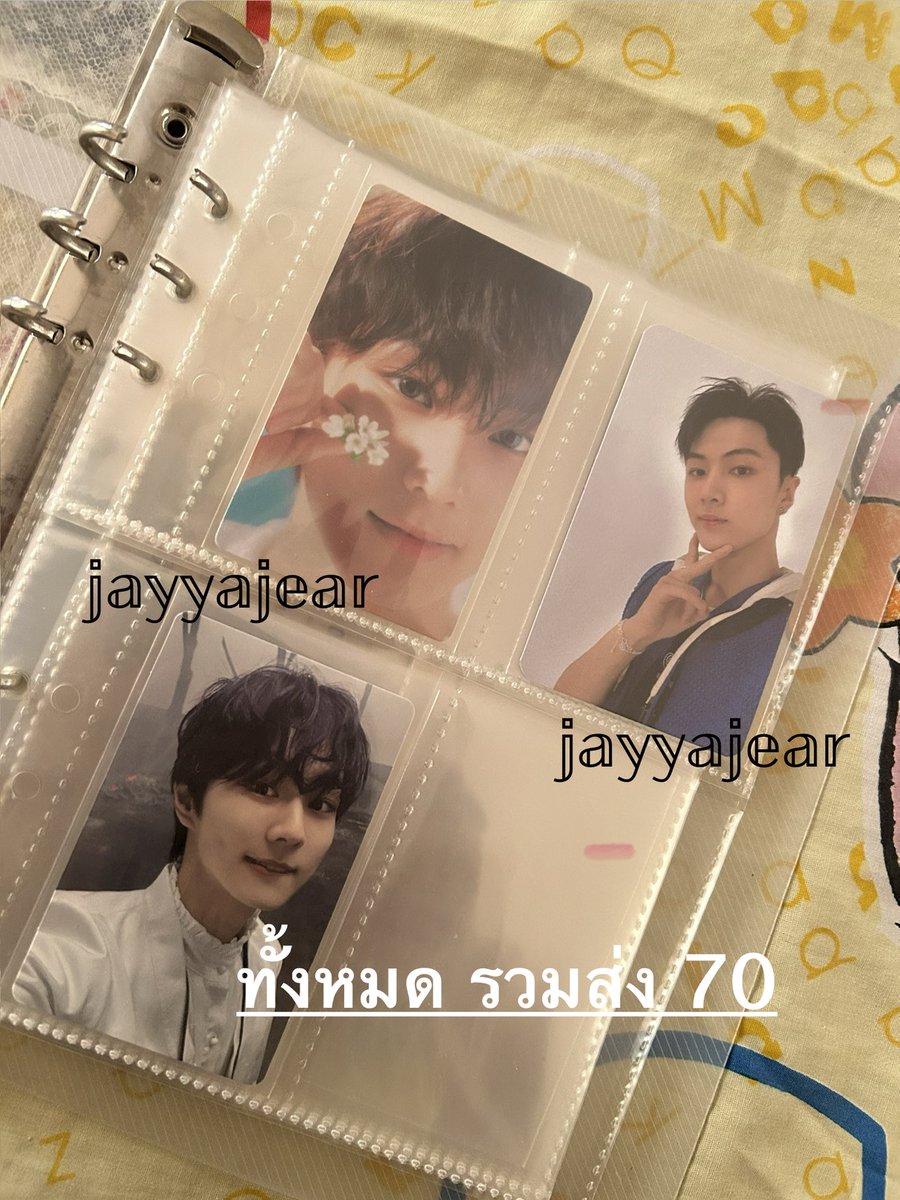 jayyajear's tweet photo. มีใครอยากรับน้องไปดูแลต่อไหมคะ  #ตลาดนัดenhypen https://t.co/ScM5SZOkgK