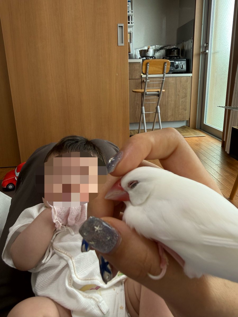 Chabitojun's tweet photo. https://t.co/vXJCSchnMG