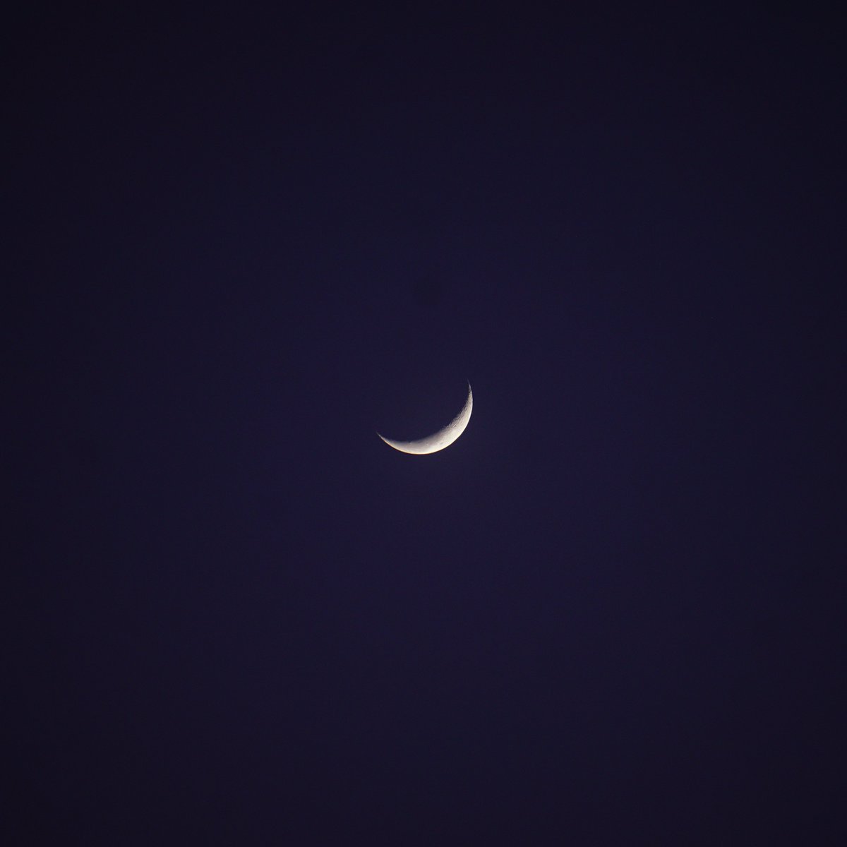 coraliabali's tweet photo. Mbak Luna dari kemaren dan pagi tadi.
Besok Tilem ya guys new moon.

#Ubud https://t.co/gIe6Q5rvZ9