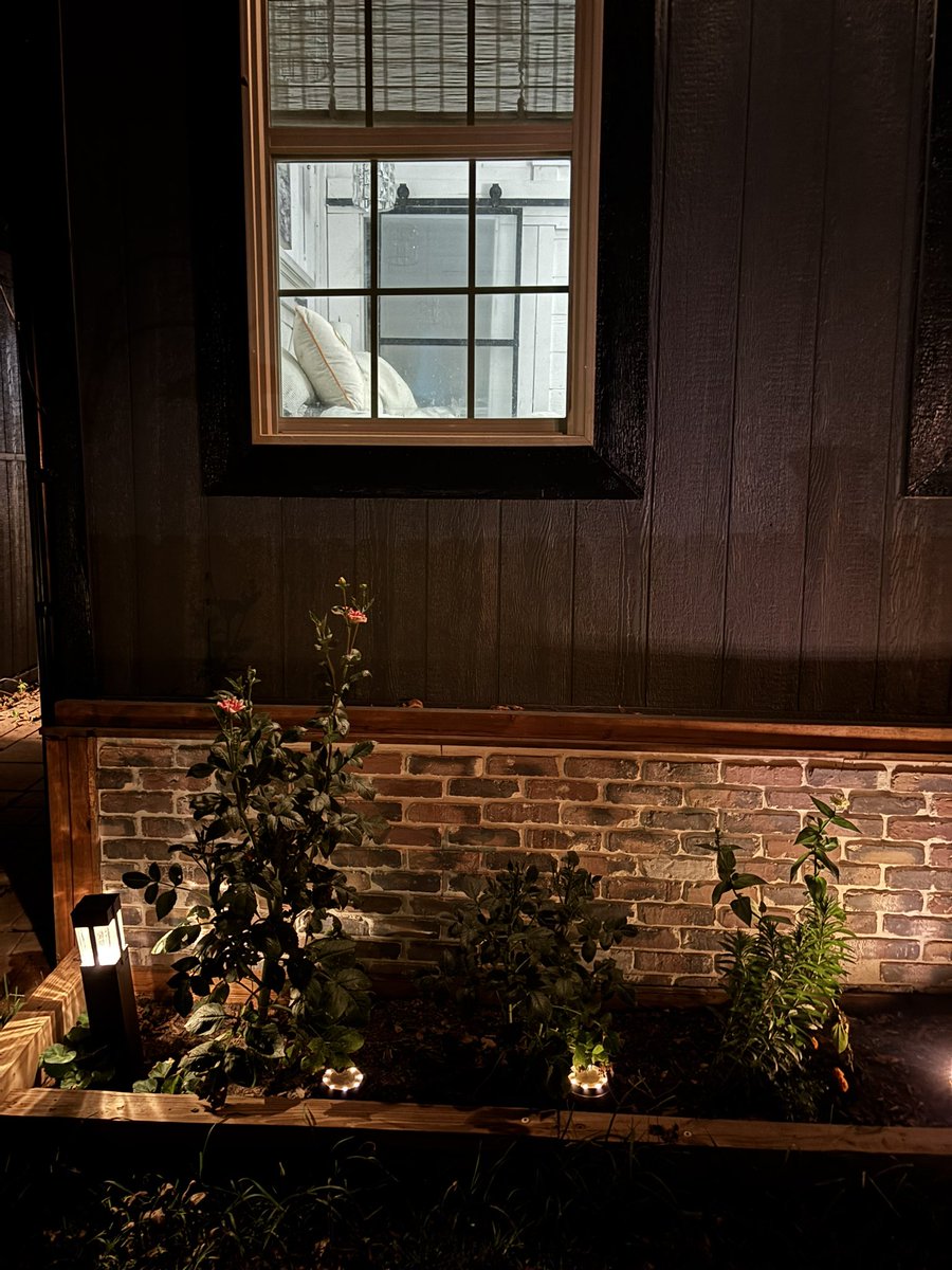 BenjaminwarnerT's tweet photo. The flower by my pillow grew
taller than the other two.
Its stem became a quiet stair
that climbed to meet the window’s glare.
While the rest kept modest height,
this one heard the dream that night—
the soft assumption, wish fulfilled,
that slipped the glass and gently thrilled.
Three were planted side by side,
same soil, same rain, same tide,
yet only one beneath my head
answered back in bloom instead,
as if the Kingdom deep within
had whispered, “It is finished,” then—
and what is seen rose up to meet
the unseen word, now made complete.