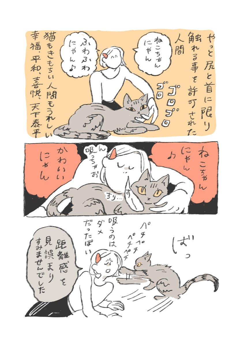 猫はなさん Aさん😺ねこはうち🐯 (@hanahaha15) / Posts / X