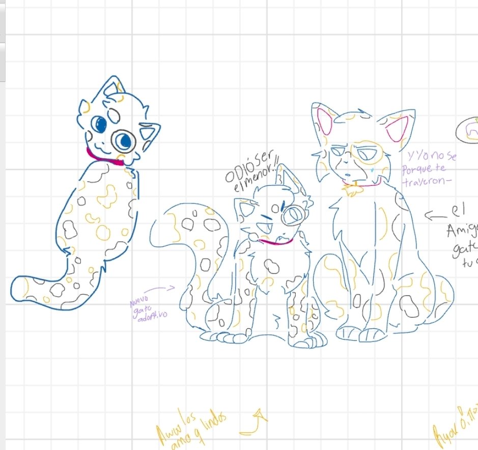 kcarts45's tweet photo. Cats https://t.co/De8DcY1kvr