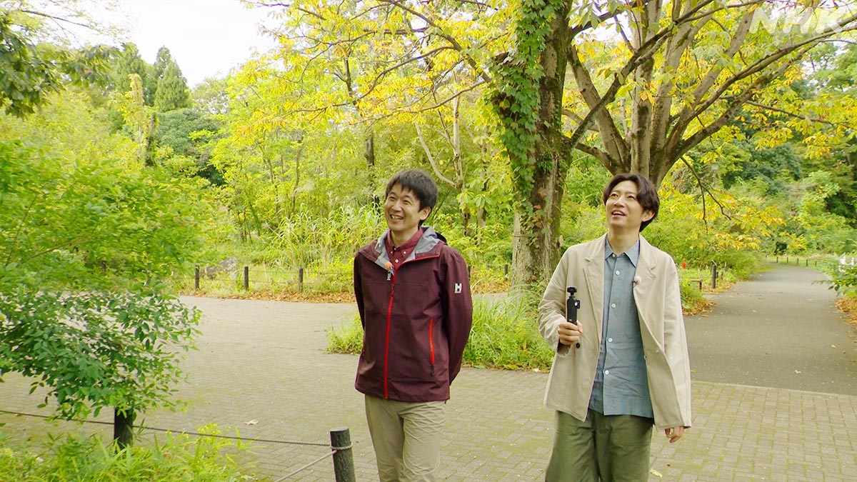 nhk_darwin's tweet photo. 【相葉さんと探せ！ミクロいきもの超ワールド】

相葉さんと公園で「虫こぶ」を探しに出発！🌳🔍✨

そもそも虫こぶって、何！？🐛🤔
👇虫こぶの動画はこちら
https://t.co/JGR0wlmarT

⏰19日 日曜夜7時30分～

#ダーウィンが来た #相葉雅紀 https://t.co/hVZZjFbDiQ