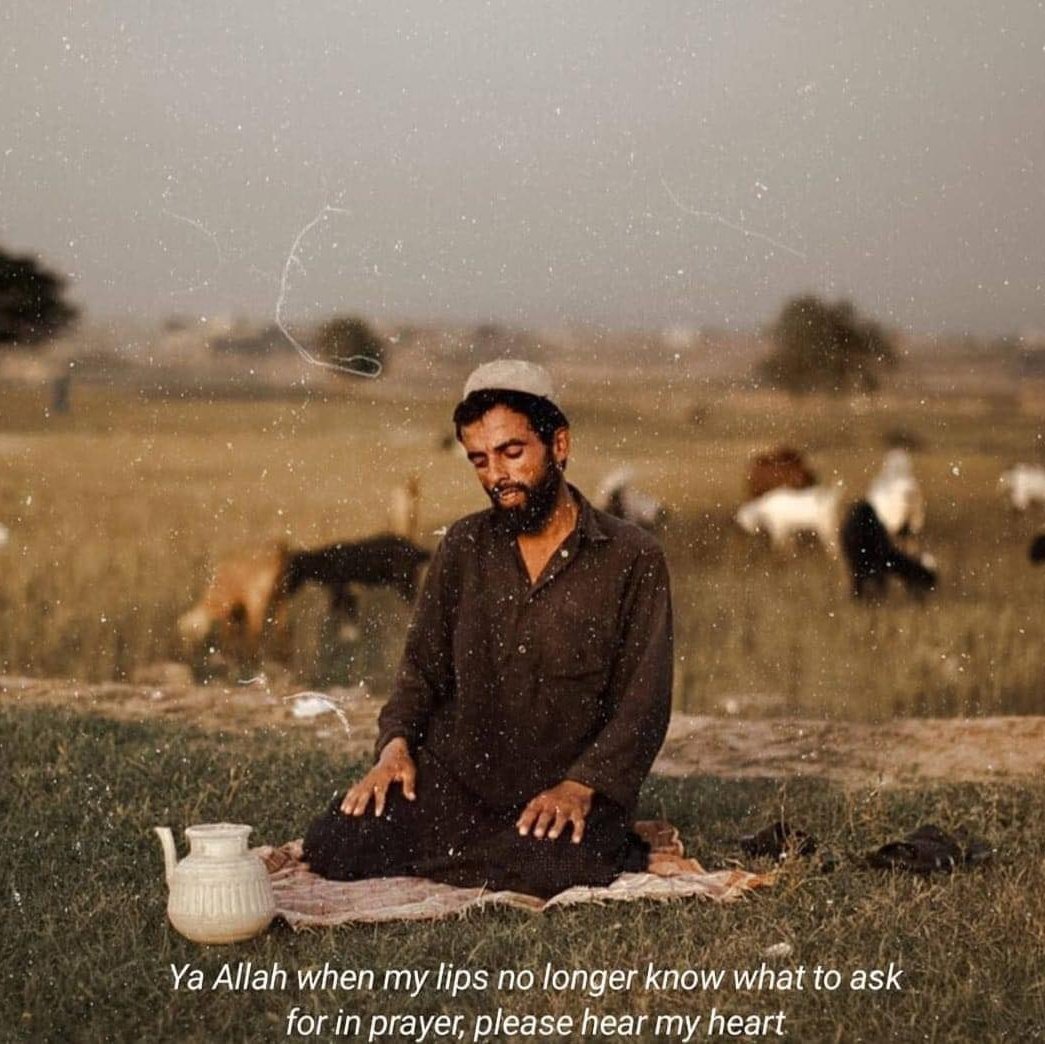 Hanzu_9's tweet photo. السلام علیکم ورحمتہ اللّٰہ وبرکاتہ 🫶
صبح بخیر پیارے لوگوں ❤️
اَلصَّـلٰوةُوَالسَّـلَامُ عَلَیـْكَ یَارَسُـوْلَ اللّٰهﷺ📿
 
#خاتم_النبیین_محمدﷺ
#درود_وسلام
#قومی_زبان 

Good morning !! May your day be filled with sunshine, smiles, and endless opportunities to shine.💖 https://t.co/F27eLJdtBc