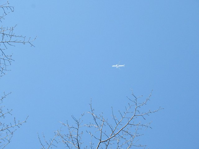 flipr_cl's tweet photo. 4月～

止むを得ず至近距離で飛行機を見た回数6回
行った画廊6か所
2回廻すお茶を9回した
筍20本以上調理した（たぶん）
メロン5個食べた
コンビニで買い物1回
男性から優しいと言われた回数3回
図書館へ行った回数7回
山に2回登った
止むを得ず外で飲んだ回数20回以上
女性に3回叱られた

以上です https://t.co/IfnqC8Bz8H