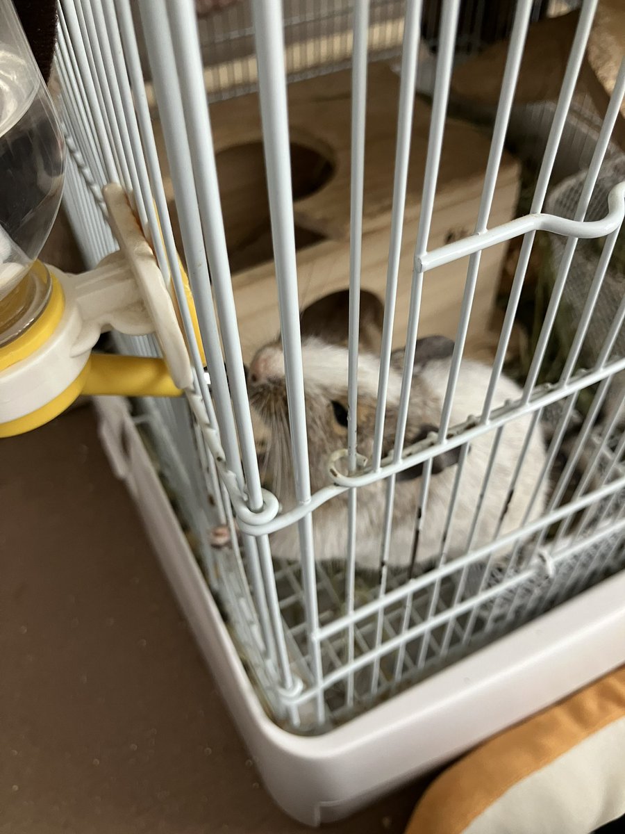 munya1121's tweet photo. 暑いからお水沢山飲んでね💧
さぁ、かーちゃんお仕事行って来ます💨 https://t.co/L48mHttPVO