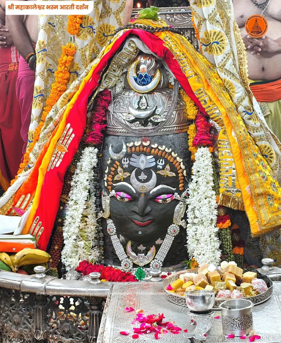 bihari tweet media