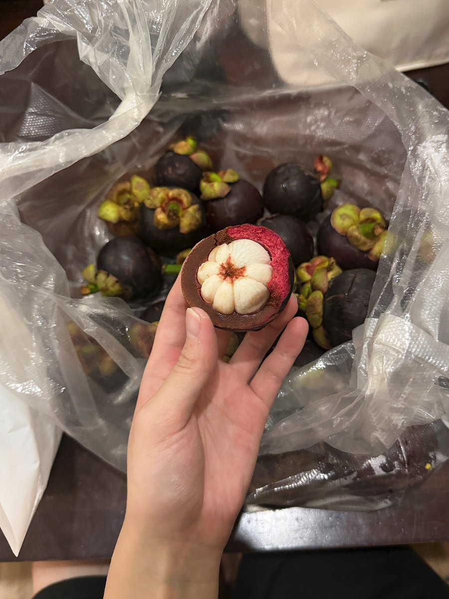 for_yeahin_'s tweet photo. 이언니 망고스틴 얼마나 맛있게드신건지 감도안잡힘 전날2kg삿는데 다음날 또 2kg사시고, 해변에도가져가시고, 그냥 영원히드시네 https://t.co/q7cRNx1r1e