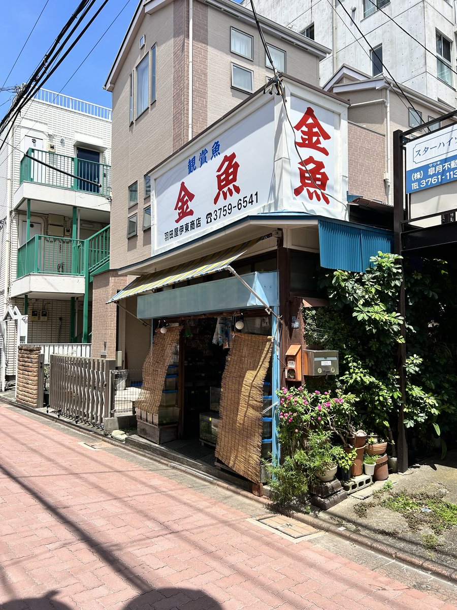 Ayako♡ページ 画像だけで夏を感じさせる選手権