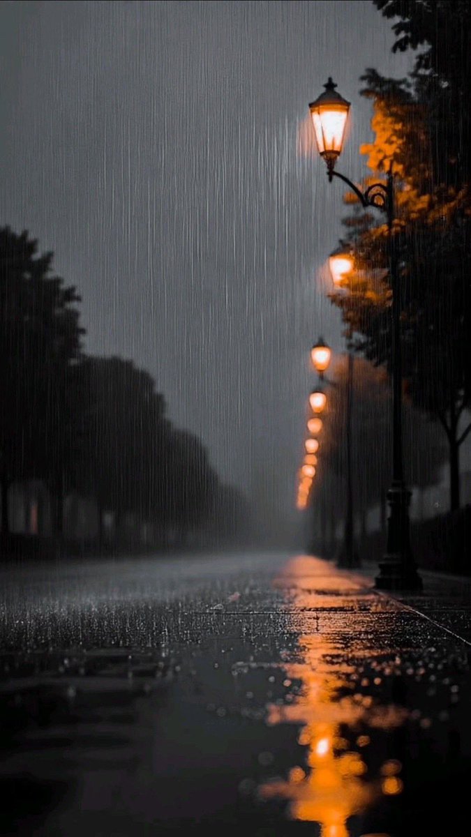 JJDBV's tweet photo. Ten un corazón que nunca se endurece  
Un temperamento que nunca se cansa  
Y un toque que nunca lastima.

Charles Dickens https://t.co/IUBKJqxobD