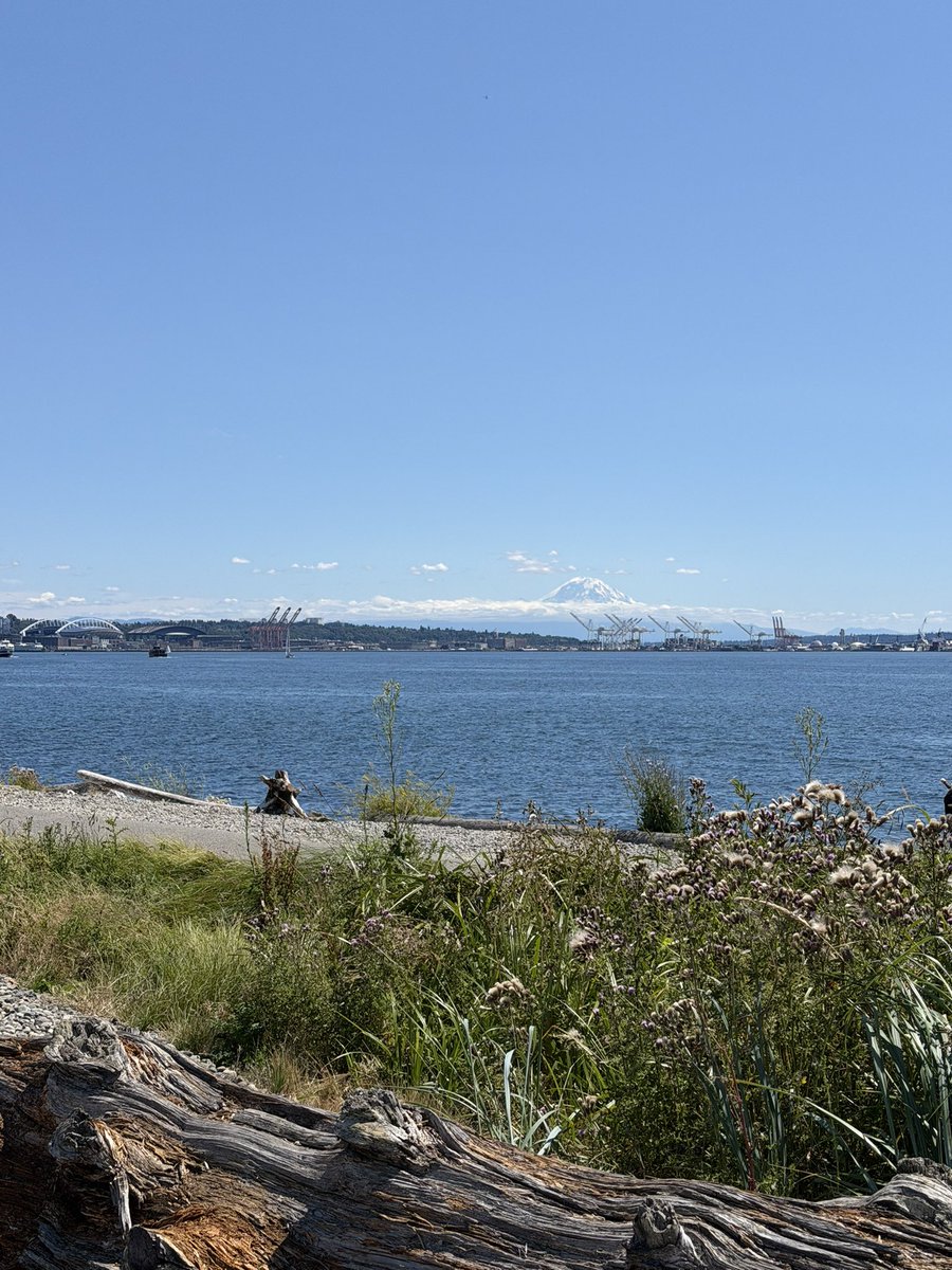 letsgoforone's tweet photo. The mountain is out! #mtrainier #pugetsound https://t.co/9i3YG5lL14