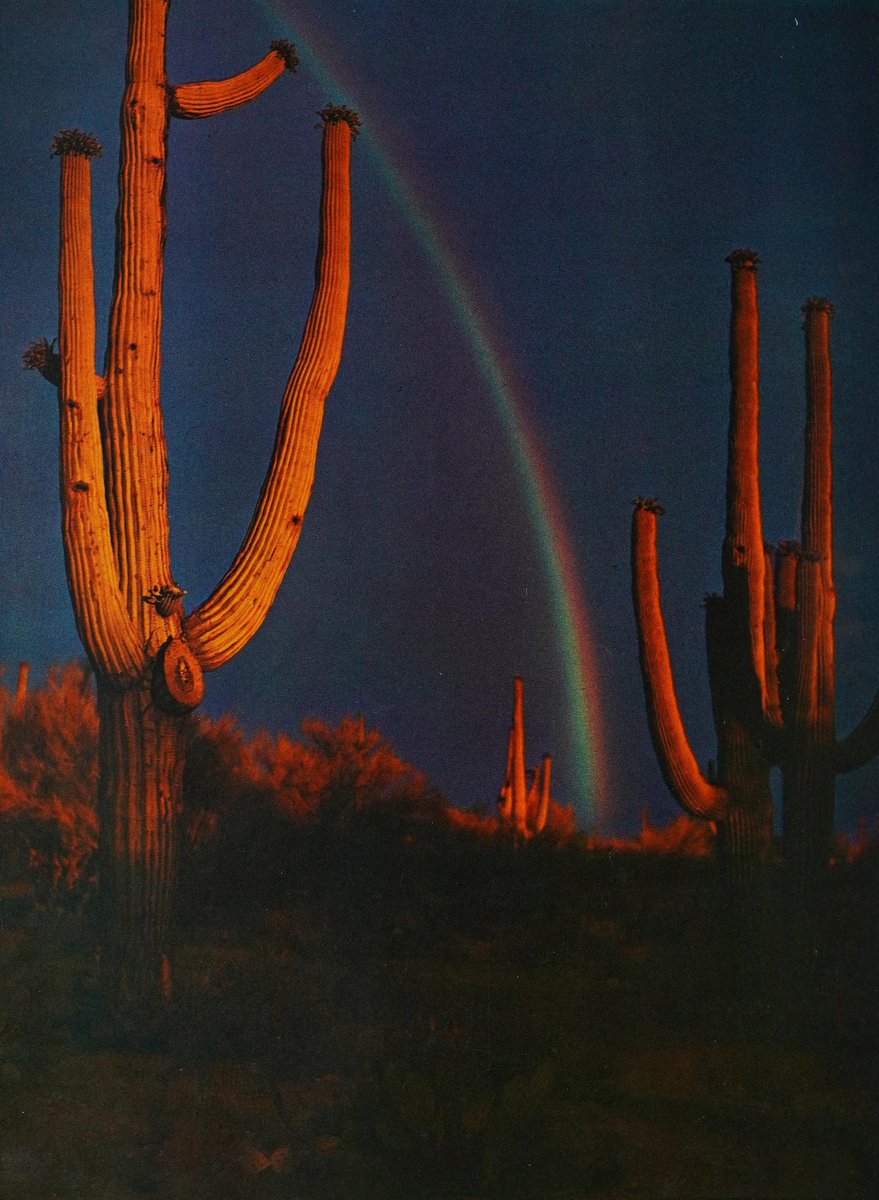 sovietsoleri's tweet photo. Arizona, God's country. Can't help but shed a tear watching the sun rise and fall here. The southwest is the ultimate frontier. https://t.co/KpzlwtlKKL