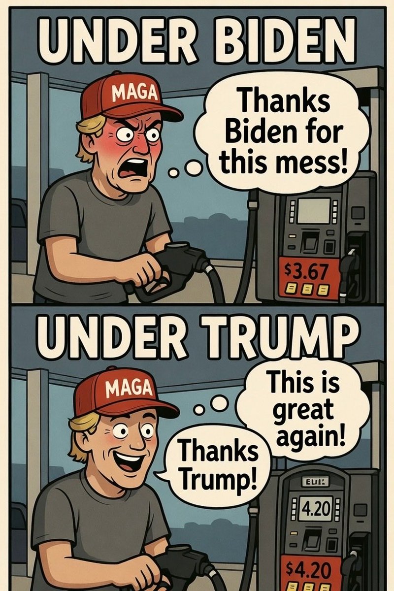 DUMB MAGA FINDER tweet media