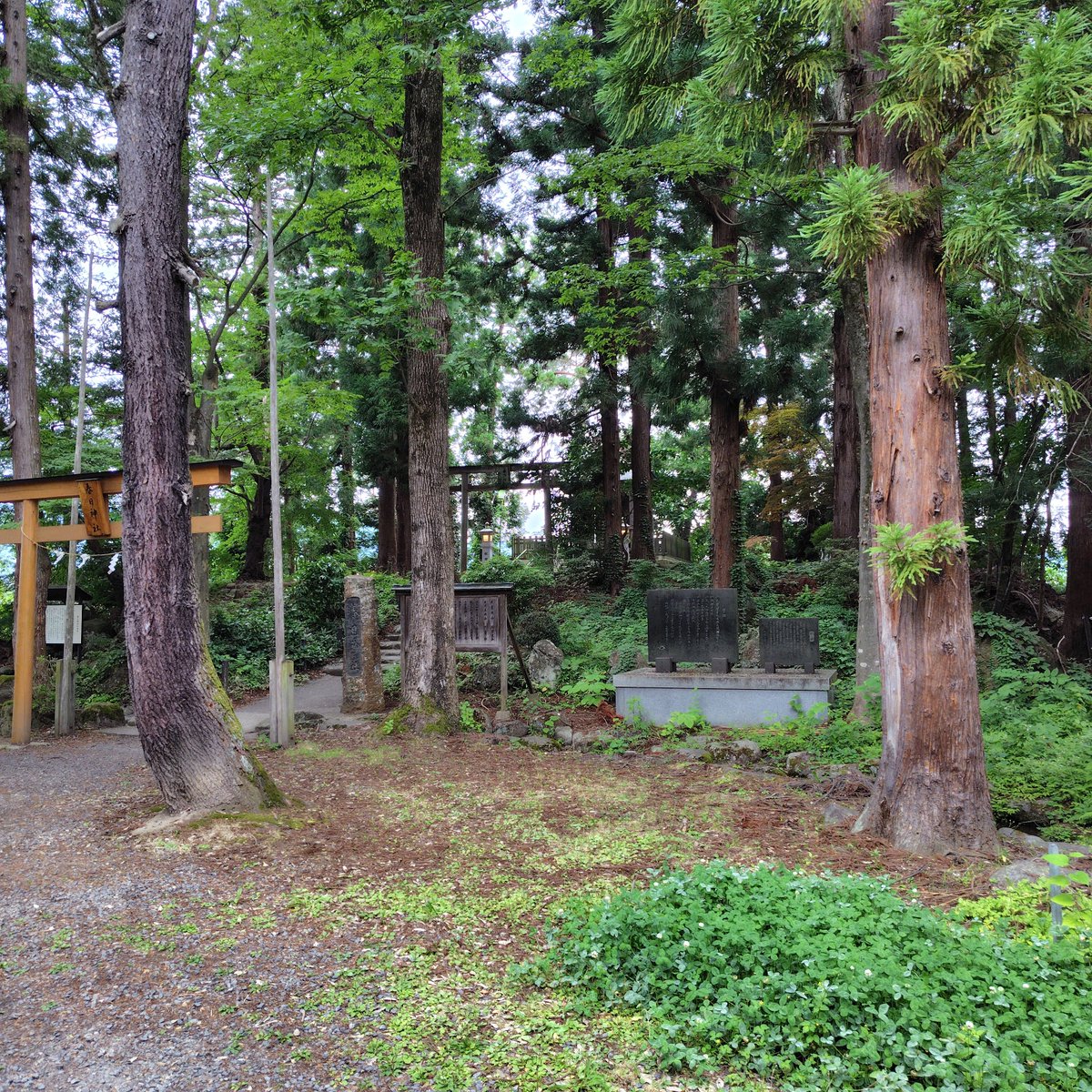 mrtakimura's tweet photo. 米沢にて。
会津時代の上杉家は、どこの春日神社さんにお詣りしてたんだろう？ https://t.co/HM5zDBF0lT