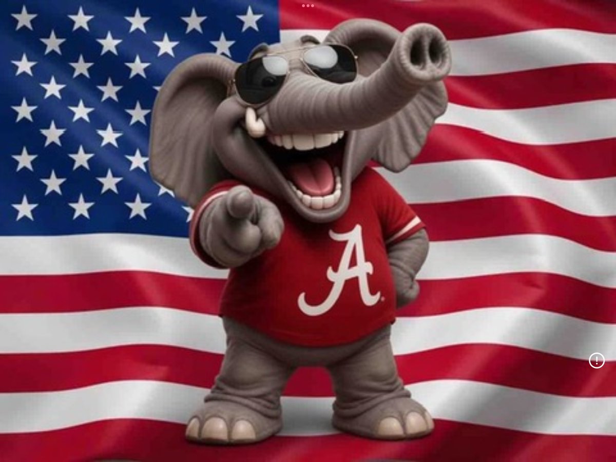 Le mitch 🐘❤️🇺🇸 tweet media