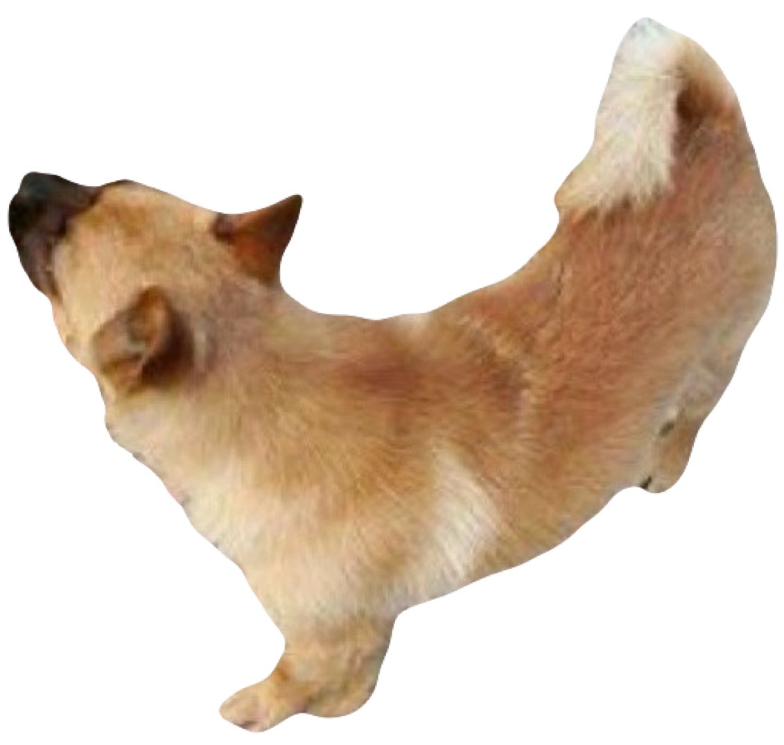 ab7355608's tweet photo. このクソ犬5キルしててまじでえぐい https://t.co/E3H2R79OOn
