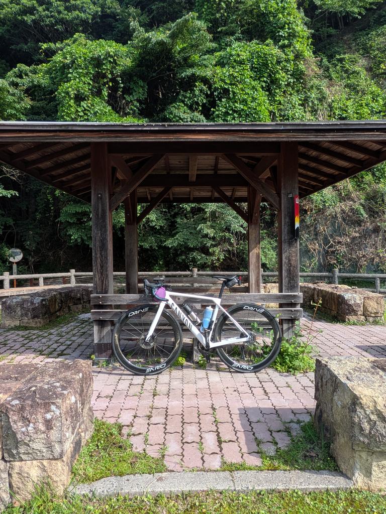 AgiCycling's tweet photo. ノロノロと何時もの休憩所まで☺️

涼しさ求めて山に来たけど日陰なのに、蒸し暑くて地獄☠️ https://t.co/ewt8NNxWFM
