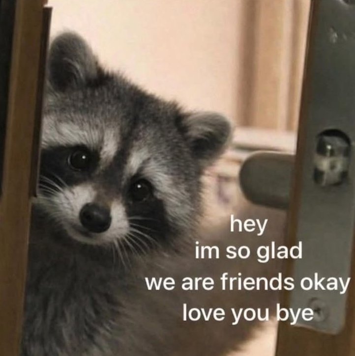 ShouldHaveRacc's tweet photo. https://t.co/vExkAZqVG4