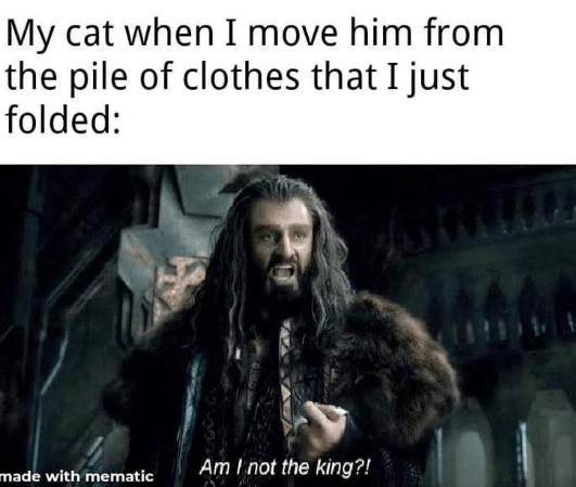 LOTR_Daily_'s tweet photo. https://t.co/Lf0hSHnhbK