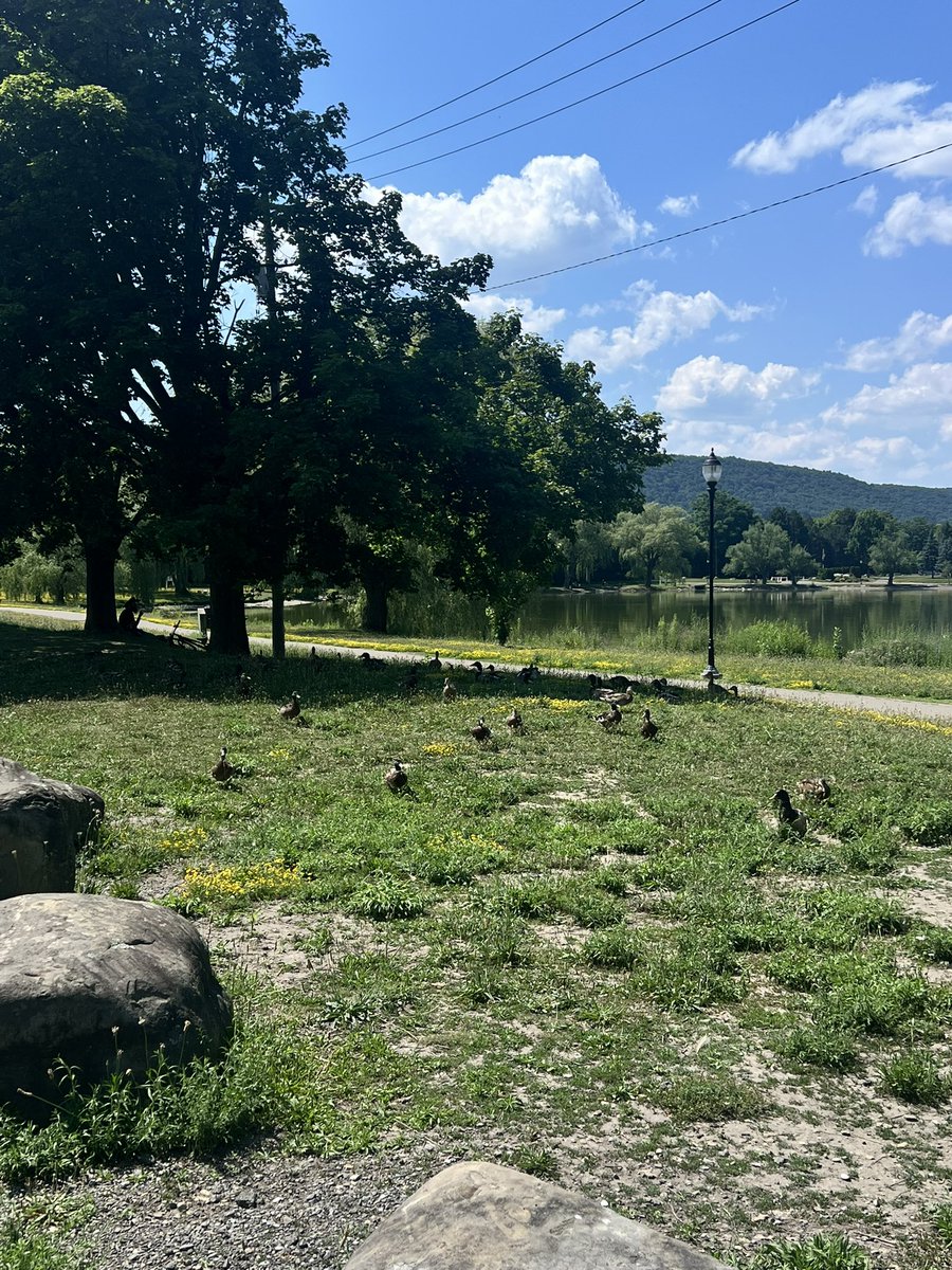 fuzzzbuzzz1's tweet photo. picnic with my pals 🫂💗 https://t.co/xgeKDXGXOC