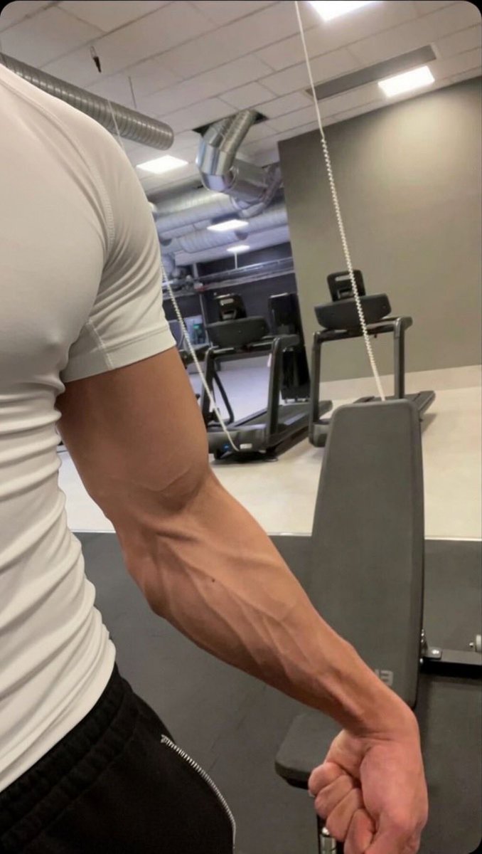 Arkoo7x's tweet photo. #biceps #gym https://t.co/2FKopsz2vd
