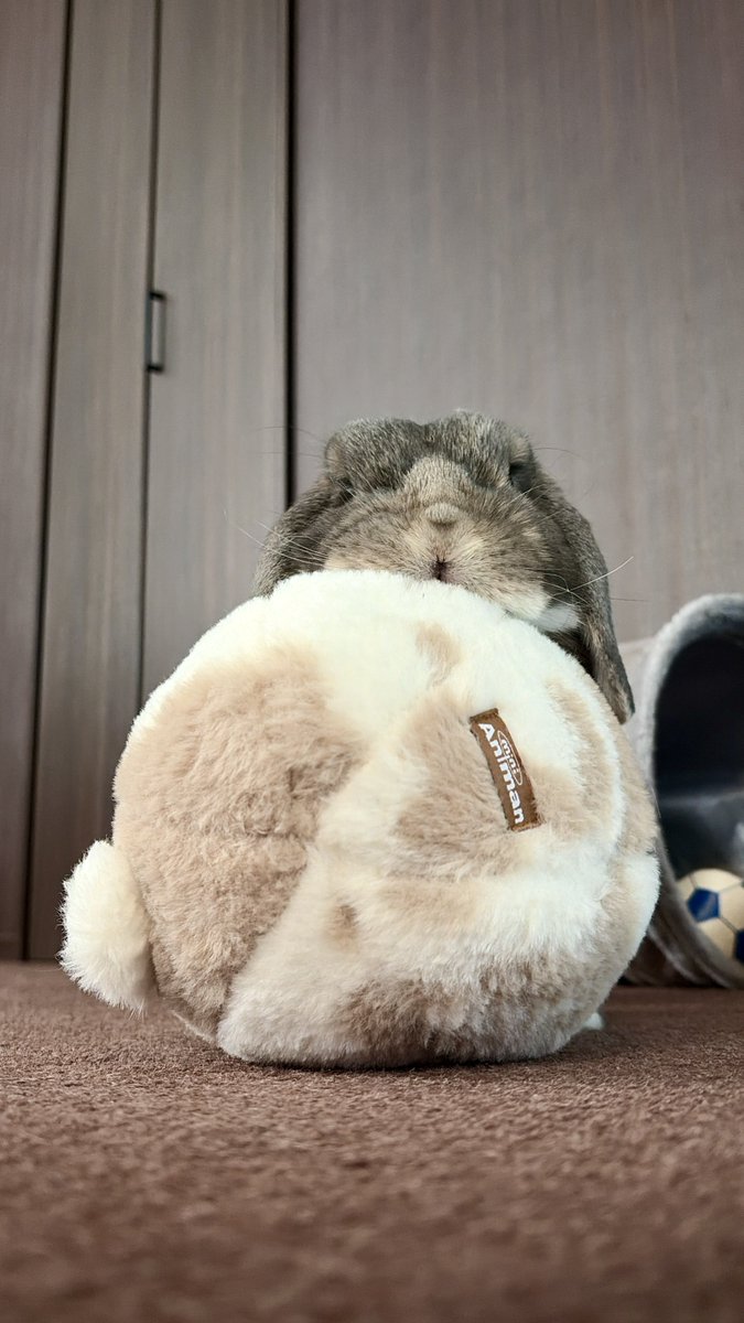 ごぉるでんうさこ様 ありがとうございます！ ごぉるでんうさこ様確認用