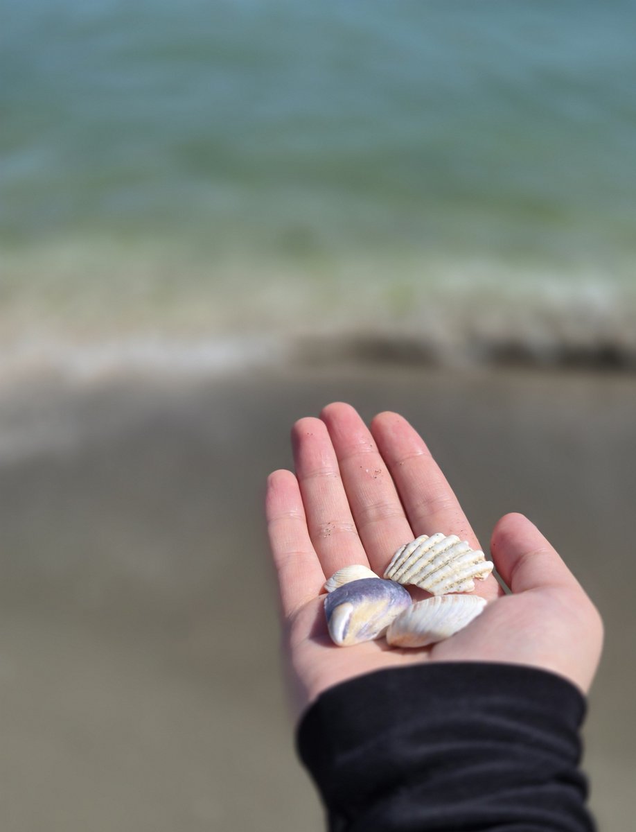_dmrcn_'s tweet photo. Gün 🐚🪸🫧 https://t.co/ED8LpurOSD