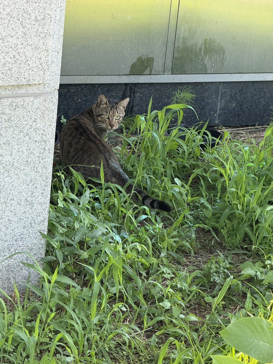 mabicat's tweet photo. 어이가 없네. 
진짜로 초면이신분이 “나를 모르느냐”하며 밥찵이라고 하셔서 차려드림. https://t.co/ynNhJFsraa