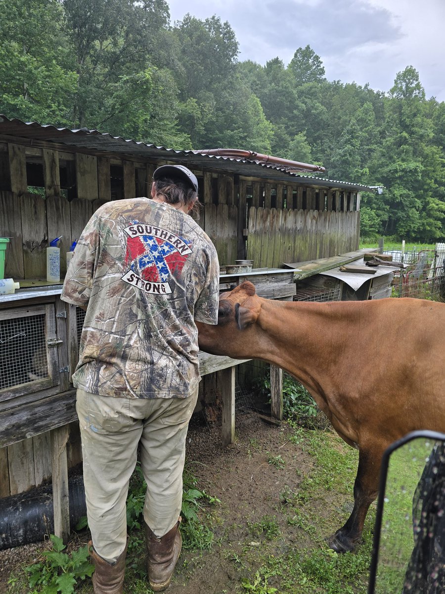 PasturesofPeace's tweet photo. Love this view https://t.co/DVMvmcMmXj