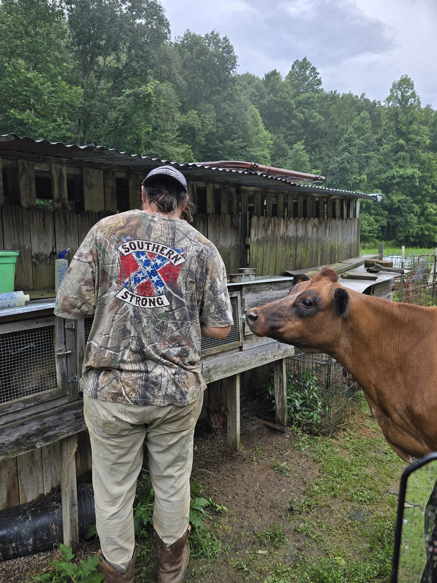 PasturesofPeace's tweet photo. Love this view https://t.co/DVMvmcMmXj