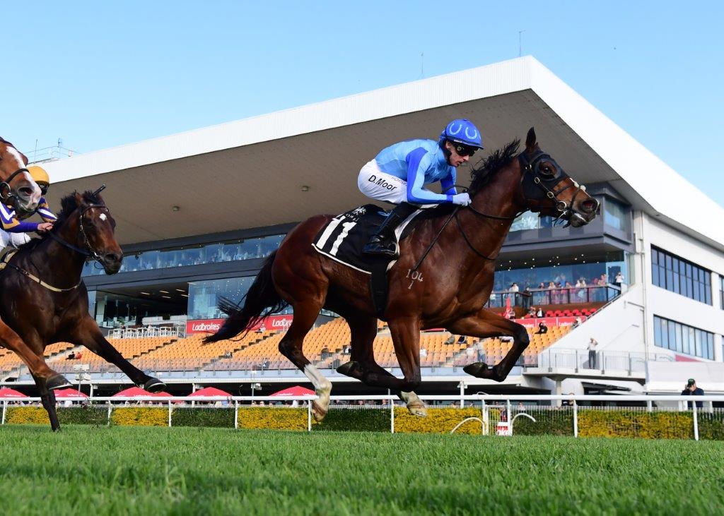 tonygollan's tweet photo. 💥TRACKSIDE WINNER OF THE WEEK 💥
Our #WinnerOfTheWeek presented by Trackside Photography is Zoubaby.
4yo mare Zoubaby (Zoustar x Magnaflight) won the Class 6 Plate over 1110m at Doomben on Saturday ridden by Daniel Moor & strapped by Holly Crawford. https://t.co/MecjFARCNr