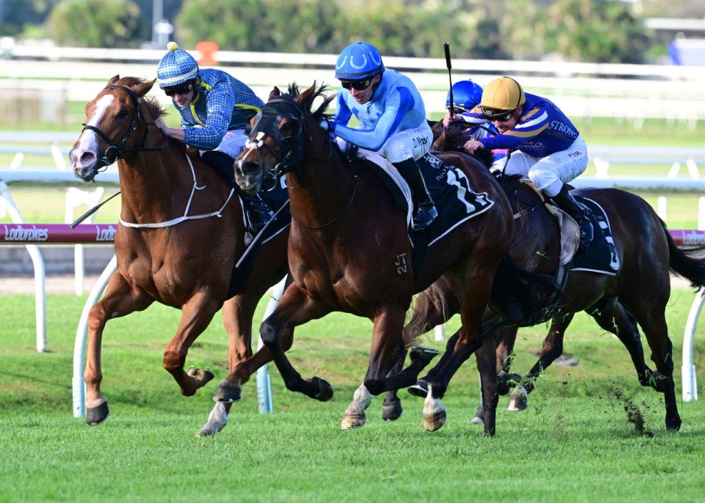 tonygollan's tweet photo. 💥TRACKSIDE WINNER OF THE WEEK 💥
Our #WinnerOfTheWeek presented by Trackside Photography is Zoubaby.
4yo mare Zoubaby (Zoustar x Magnaflight) won the Class 6 Plate over 1110m at Doomben on Saturday ridden by Daniel Moor & strapped by Holly Crawford. https://t.co/MecjFARCNr