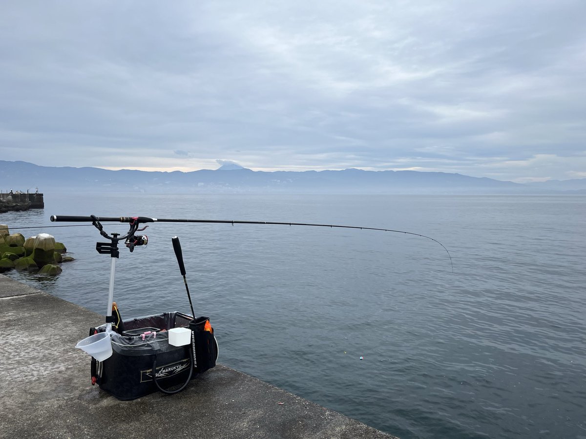 A3ruka2's tweet photo. 珍しく空いてる月曜日🎣

この時期は晴れないだけで勝利です

気がつけば連続坊主中
毎回片付けの楽なこと笑

久しぶりに持ち帰りたい
まずは1匹🐟

おはようございます☁️ https://t.co/CcdOmkQOQc