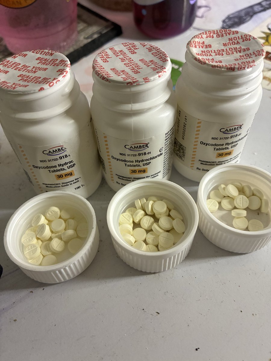 PaidInFullMelt's tweet photo. Stash em seals like it’s gold https://t.co/X6GG8dkgKt