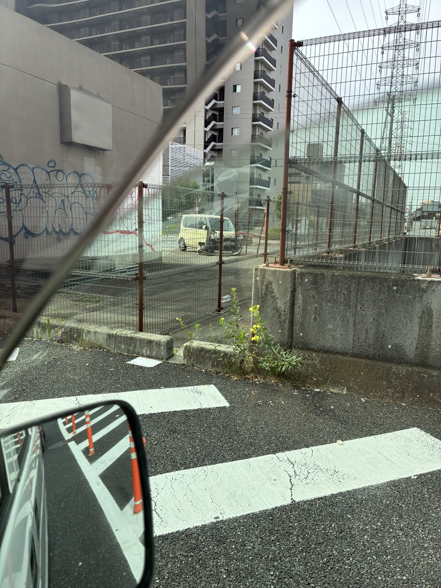 sho19941019's tweet photo. エグい音なった思ったら
どえらい事故してた https://t.co/FMnZvsfVE4