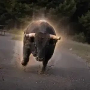 deravertt's tweet photo. I'm bullish on $bison the lore is gold deserves millions stay bullish let's send it to millions 

In at 6k send ittttt

GwZvGvVzjWTL1mvpw55KQWztTQvWo3B6ew16N2aspump https://t.co/GQECrB9Ttq