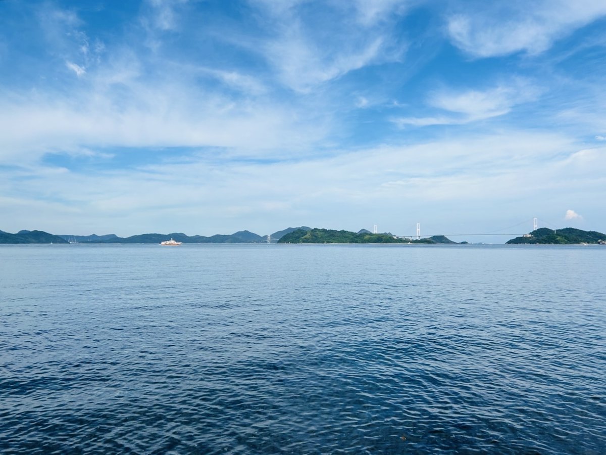 MurakamiPile's tweet photo. おはようございます✨
三姉妹 三女です🐈

今治の天気は☀　 気温は28℃

最近はかなり暑くなってきましたね🥵
今でこの暑さ…夏本番が恐ろしいです💦
みなさま熱中症には十分お気をつけください！

今週もよろしくお願いいたします🙌

#企業公式が毎朝地元の天気を言い合う https://t.co/gTpd2cuQTr