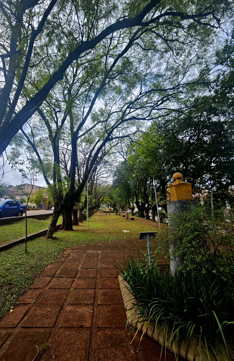 fergaspe1973's tweet photo. Hermosa vista a la Ciudad de #Obera y el encuentro con mi amigo @RafaelPigerl compañero de  luchas cuando trabajamos juntos en la @SDHArgentina en juicios de #LesaHumanidad , hoy recorrimos su ciudad, comimos surubi y degustamos sus mates .
Hermoso día 
#Misiones https://t.co/hoeyKd8TAI