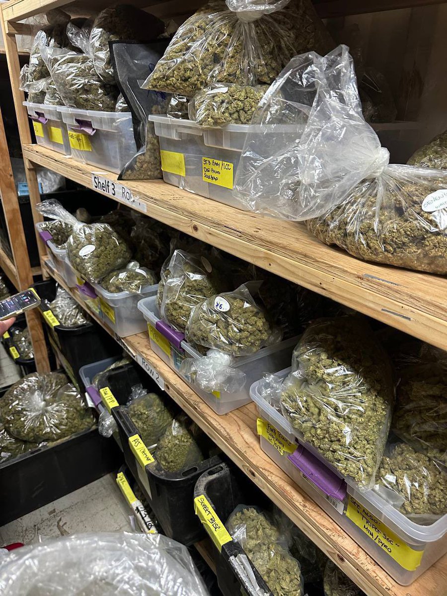 martinweedsj0x's tweet photo. Dmt cakes &amp; carts 🥧 
#weed #Alaska #alaskaweed #Kissimmee #Miami #Davenport #Poinciana #Disney100 #florida #LenaThePlug #CannabisCommunity #tampa #stoners #plug #plugs #plugins #billionair #futurebillionaire #billionaireslifestyle #billion https://t.co/SbE03kO6X3