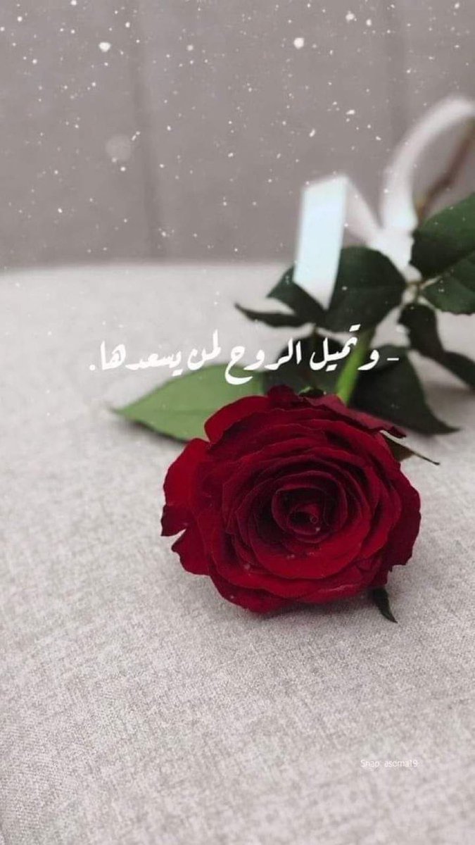 ethaat2's tweet photo. البعض نحبهم من رقة حروفهم ..
و إن كانت المثاليه في الكتابات طاغيه و لكن
 حتما جزء من جمال روح الإنسان يظهر بين السطور .. https://t.co/Y7ylwFWjAn