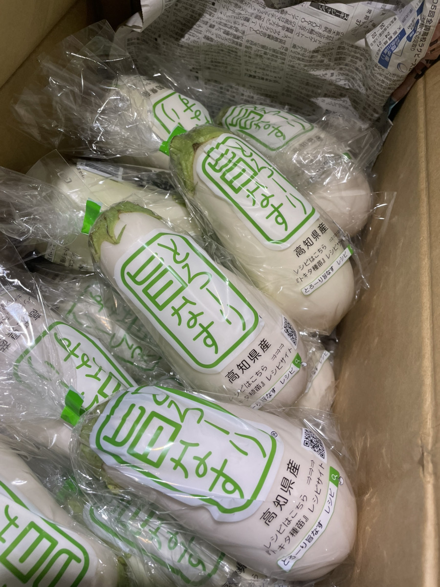 mumin__curry's tweet photo. 7月13日(月)ランチのみ営業

おはようございます！
「サマーカレー」の他にも、「14種の野菜カレー」も夏らしくなってきてます！イチオシは白ナスです！びっくりするほどクリーミーなので是非召し上がってください！
本日もお待ちしております！　店長 https://t.co/I0yucRXRx5