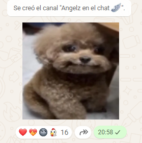 Dollzivy's tweet photo. no pensé q iban a ver el primer sticker https://t.co/Kb3rPDB9PS