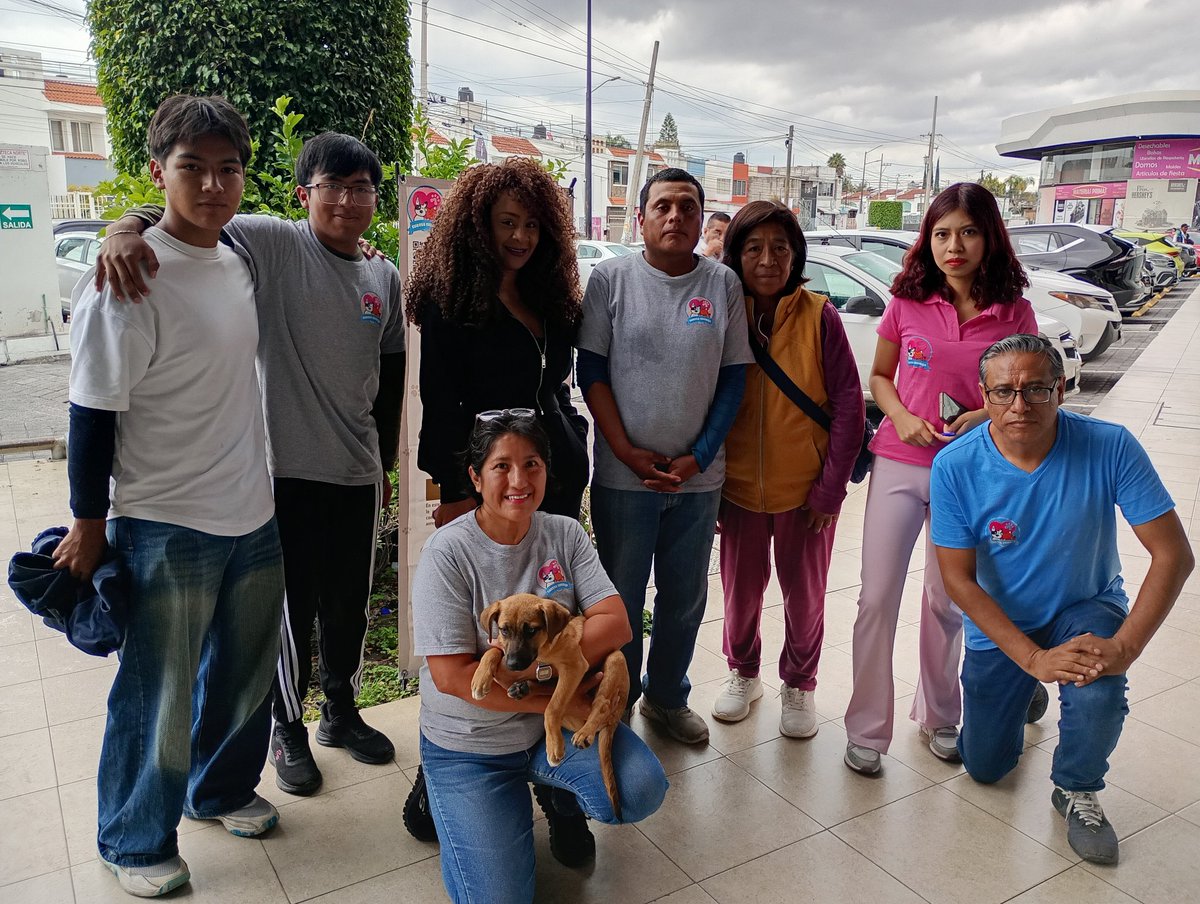 cuentaconmigo01's tweet photo. Hoy tuvimos una visita muy especial #MBALIA que junto con su hermosa familia pasearon a nuestros adoptables y se tomaron fotos con los fans🌟🐾🥰
#Gracias por formar parte de esta comunidad animalista y por darle voz a los que no la tienen
#JuntosHecemosMas
#OV7
#CuentaConmigo https://t.co/gY2MFIRdfo