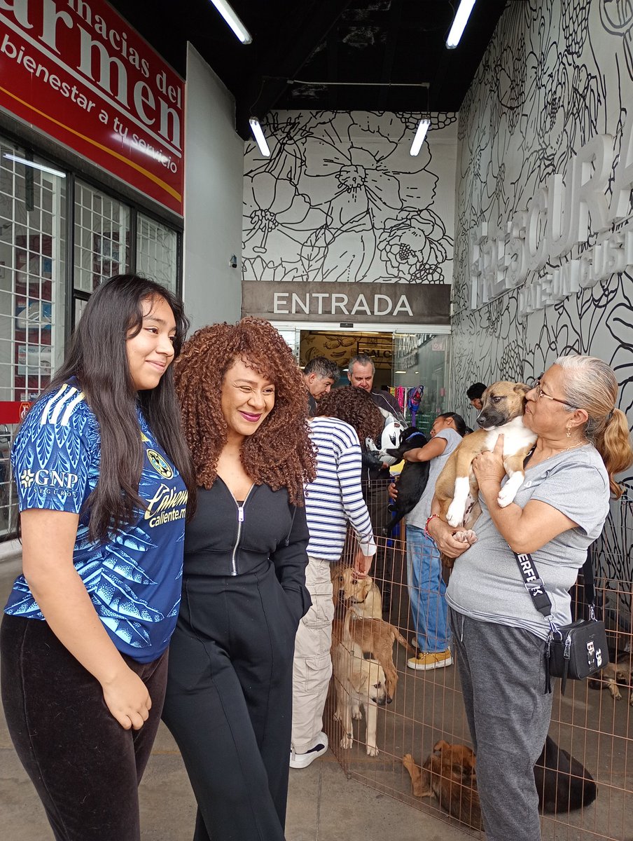 cuentaconmigo01's tweet photo. Hoy tuvimos una visita muy especial #MBALIA que junto con su hermosa familia pasearon a nuestros adoptables y se tomaron fotos con los fans🌟🐾🥰
#Gracias por formar parte de esta comunidad animalista y por darle voz a los que no la tienen
#JuntosHecemosMas
#OV7
#CuentaConmigo https://t.co/gY2MFIRdfo