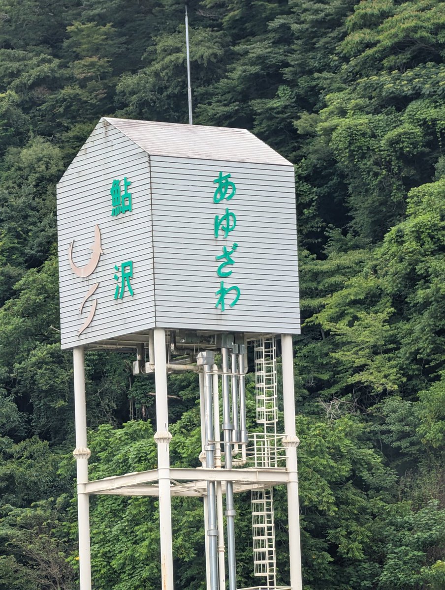 ichikeiichi11's tweet photo. 勝手にあゆさわだと思っておりました、、 https://t.co/Ggzz1T8Twa