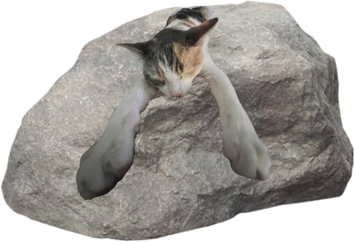 gh0ulboss's tweet photo. she fell asleep so i turned her ass into rock lobster https://t.co/FgcUUnCsGe