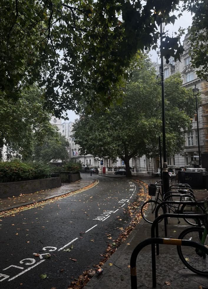 greenvibe's tweet photo. Some streets are meant to be walked slowly. https://t.co/WZbxhIr4KS