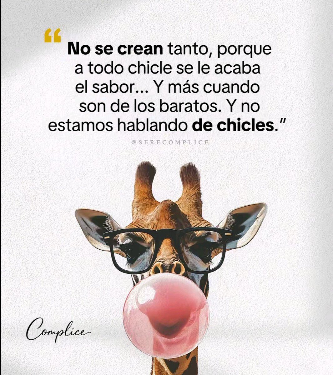 gatamala6805074's tweet photo. Buenas noches mundo x,, 😈😈😈😈😈😈😈😈😈😈😈😈 https://t.co/RcaeaqScD2