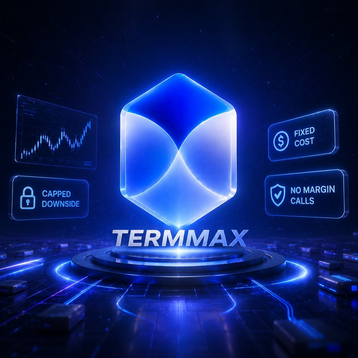 Catq.eth 🐬TermMax tweet media